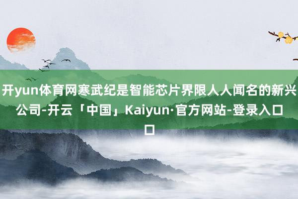 开yun体育网寒武纪是智能芯片界限人人闻名的新兴公司-开云「中国」Kaiyun·官方网站-登录入口