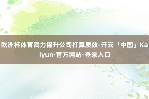 欧洲杯体育戮力擢升公司打算质效-开云「中国」Kaiyun·官方网站-登录入口