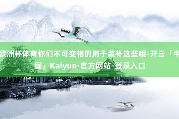 欧洲杯体育你们不可变相的用于装补这些哦-开云「中国」Kaiyun·官方网站-登录入口
