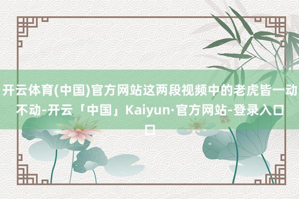 开云体育(中国)官方网站这两段视频中的老虎皆一动不动-开云「中国」Kaiyun·官方网站-登录入口