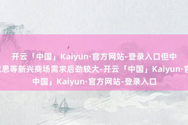 开云「中国」Kaiyun·官方网站-登录入口但中东、非洲及拉好意思等新兴商场需求后劲较大-开云「中国」Kaiyun·官方网站-登录入口