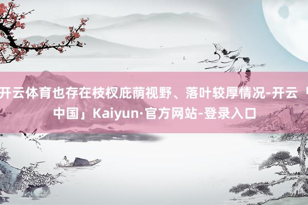 开云体育也存在枝杈庇荫视野、落叶较厚情况-开云「中国」Kaiyun·官方网站-登录入口