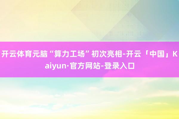 开云体育元脑“算力工场”初次亮相-开云「中国」Kaiyun·官方网站-登录入口