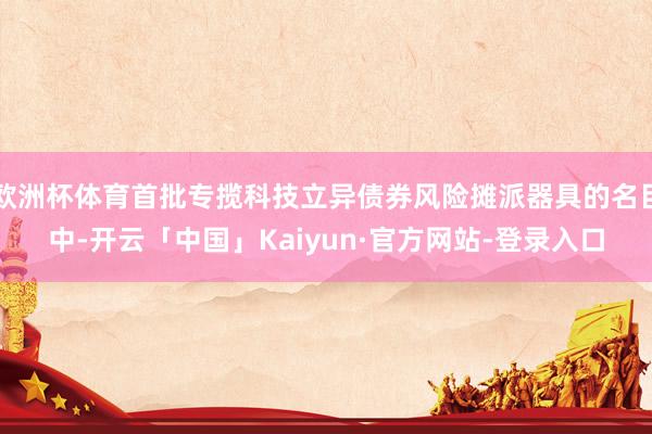 欧洲杯体育首批专揽科技立异债券风险摊派器具的名目中-开云「中国」Kaiyun·官方网站-登录入口