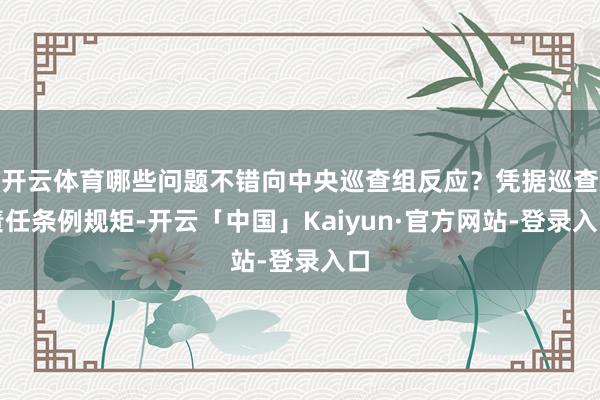 开云体育哪些问题不错向中央巡查组反应？凭据巡查责任条例规矩-开云「中国」Kaiyun·官方网站-登录入口