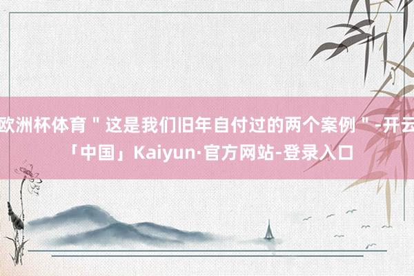 欧洲杯体育"这是我们旧年自付过的两个案例"-开云「中国」Kaiyun·官方网站-登录入口