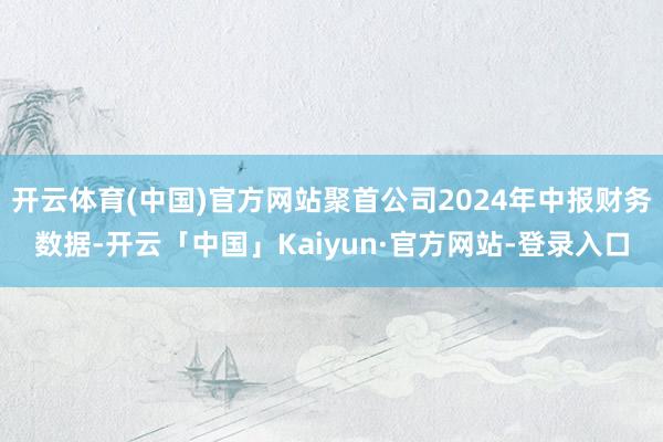 开云体育(中国)官方网站聚首公司2024年中报财务数据-开云「中国」Kaiyun·官方网站-登录入口