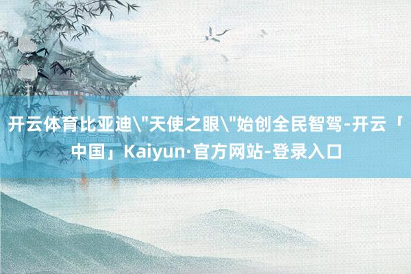 开云体育比亚迪