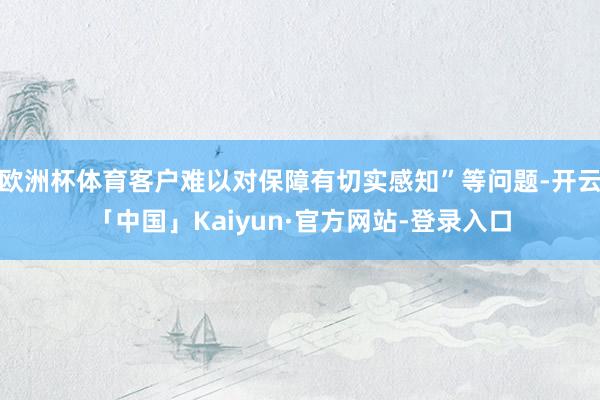 欧洲杯体育客户难以对保障有切实感知”等问题-开云「中国」Kaiyun·官方网站-登录入口