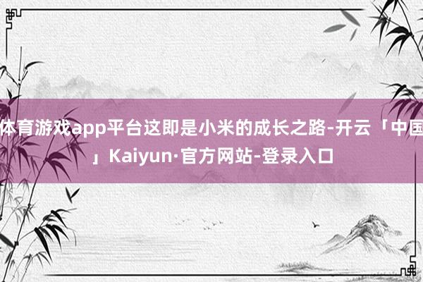 体育游戏app平台这即是小米的成长之路-开云「中国」Kaiyun·官方网站-登录入口