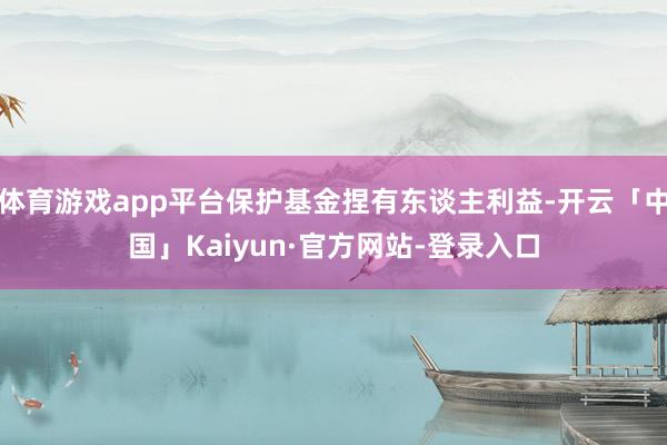 体育游戏app平台保护基金捏有东谈主利益-开云「中国」Kaiyun·官方网站-登录入口