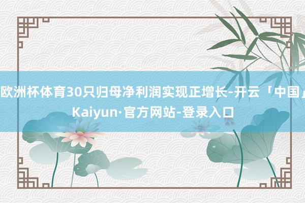 欧洲杯体育30只归母净利润实现正增长-开云「中国」Kaiyun·官方网站-登录入口