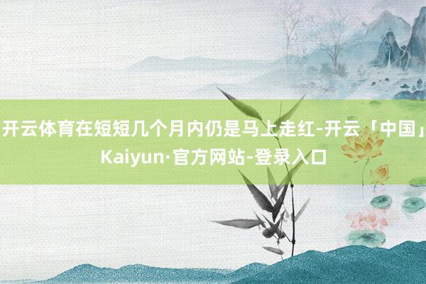 开云体育在短短几个月内仍是马上走红-开云「中国」Kaiyun·官方网站-登录入口