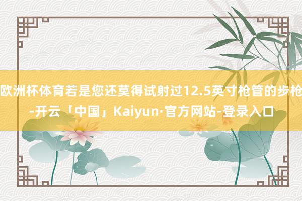 欧洲杯体育若是您还莫得试射过12.5英寸枪管的步枪-开云「中国」Kaiyun·官方网站-登录入口